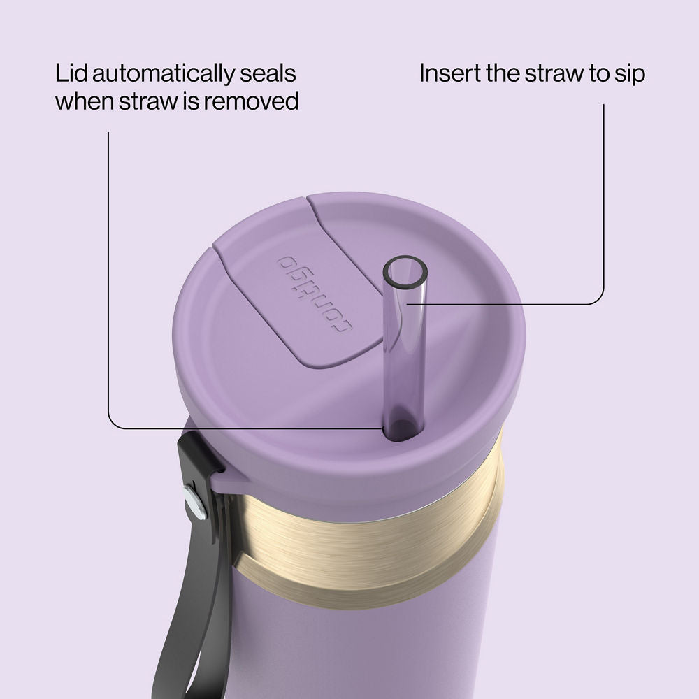 24oz-snapsealtm-bottle-t0 bevt0009_contigo_2231080_snapseal_24oz_straw_purplecarrot_atf4